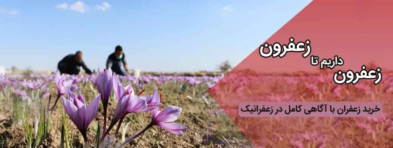 زعفران