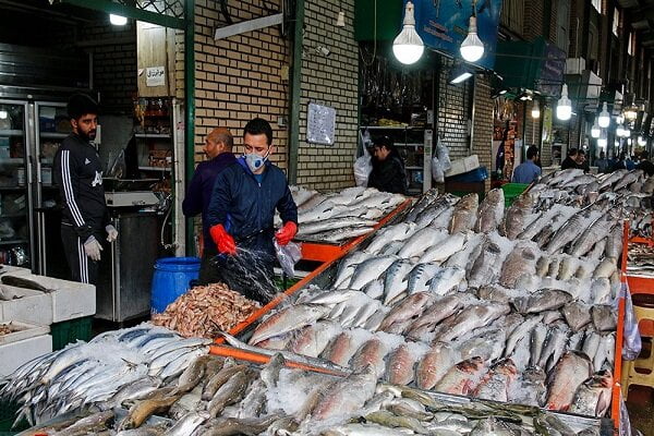 قیمت انواع ماهی پنج‌شنبه شانزدهم تیرماه ۱۴۰۱ - خبرگزاری مهر | اخبار ایران و جهان