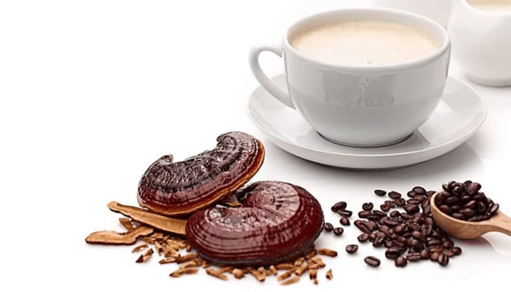 بهترین زمان مصرف قهوه گانودرما برای لاغری |طریقه مصرف قارچ گانودرما برای دیابت