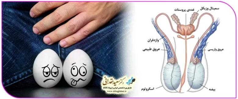 علمی و پزشکی