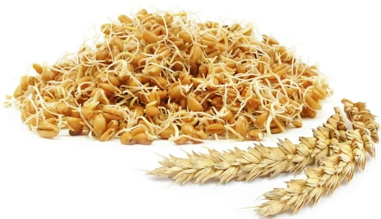 علمی و پزشکی