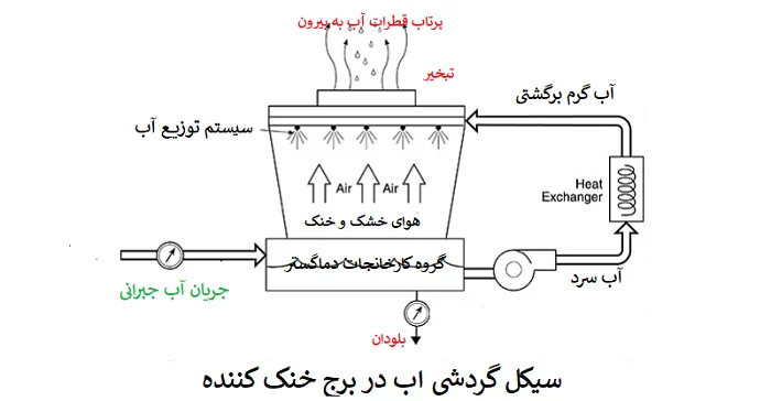 عمومی