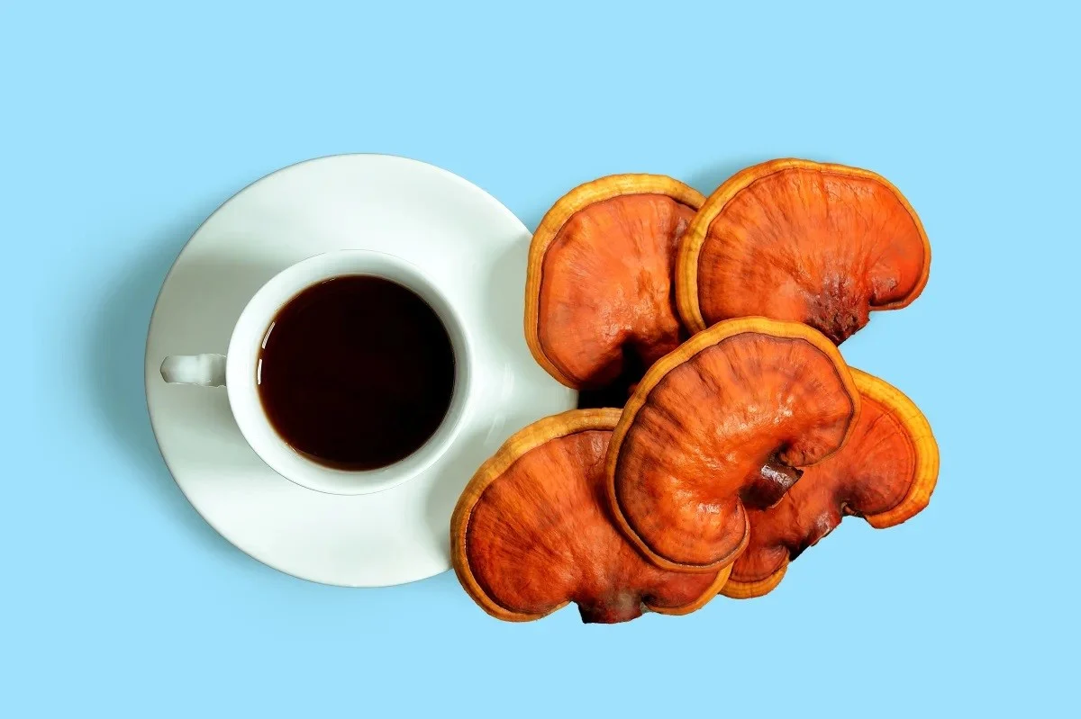 &nbsp;نقش قهوه گانودرما در کاهش استرس