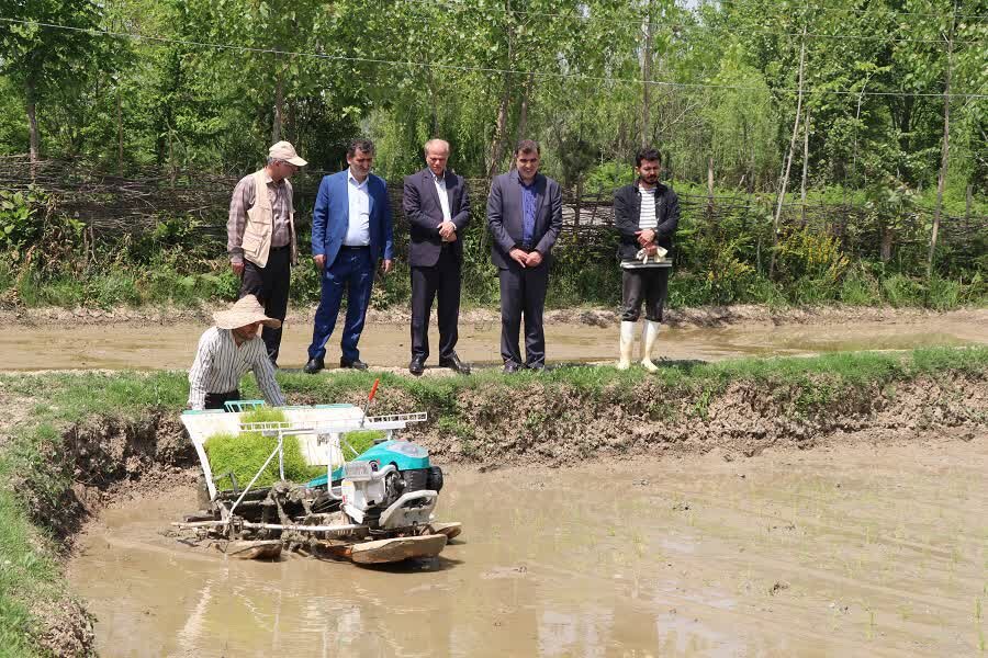 نخستین کشت نشاء مکانیزه برنج در شفت انجام شد - خبرگزاری مهر | اخبار ایران و جهان