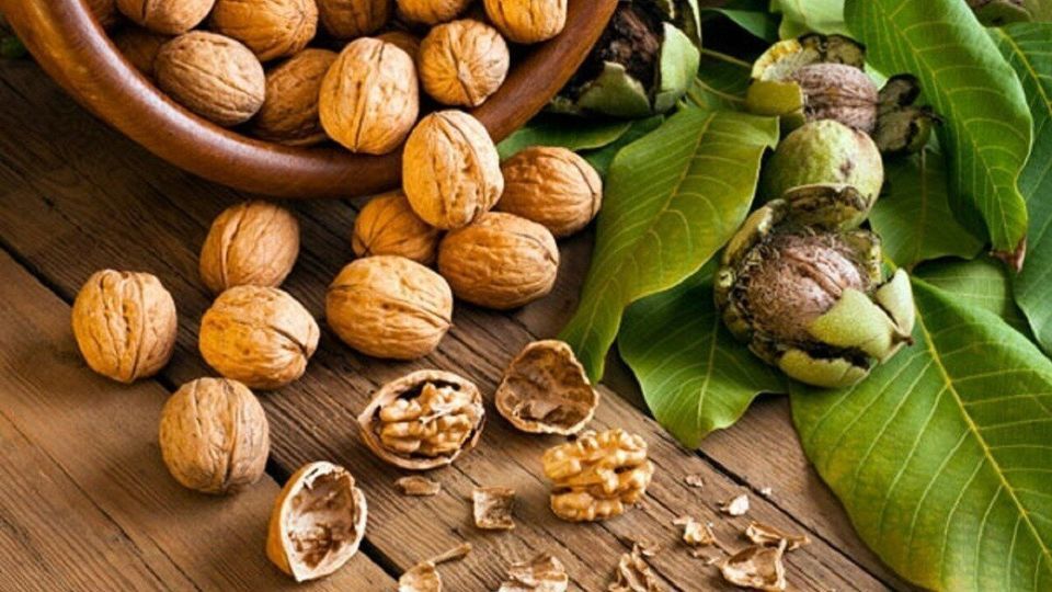 بیماری با مصرف گردو از این بیماری مرگبار جلوگیری کنید