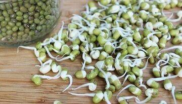 بمب ویتامین و پروتئین را بشناسید