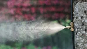 عمومی