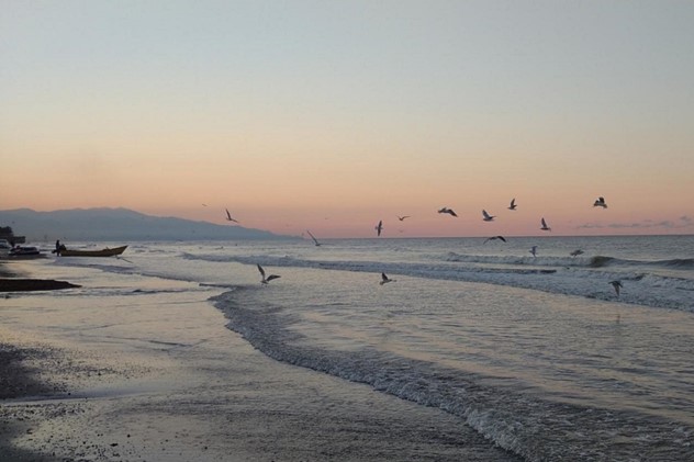 آرامش |اسکی