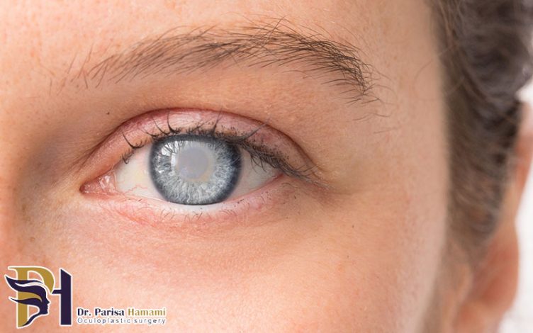 برترین های کار و کسب