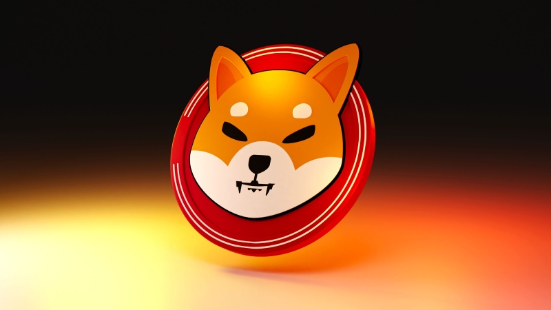 رشد شیبا اینو در دسامبر ۲۰۲۵: سوختن توکن‌ ها و پیش‌ بینی بازار کریپتو